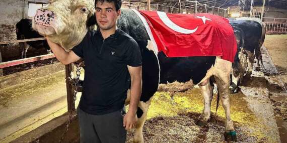 1.2 tonluk Ankara Paşa’sı! 650.000 TL’ye satıldı