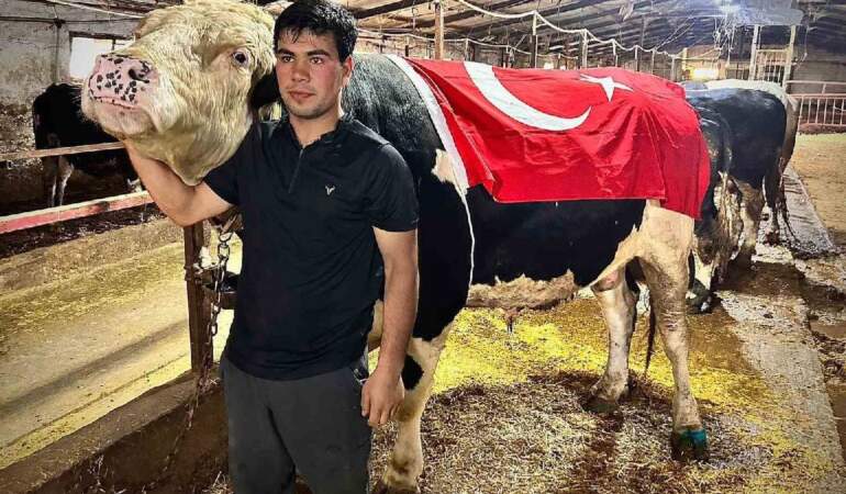1.2 tonluk Ankara Paşa’sı! 650.000 TL’ye satıldı
