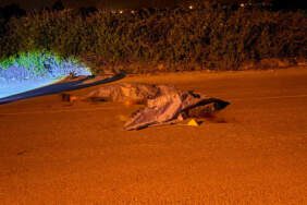 Antalya’da Sokak Ortasında Kanlı İnfaz, 3 Ölü