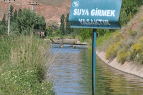 Sulama Kanalında Erkek Cesedi Bulundu