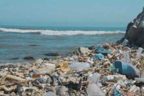 60 yıllık plastik kronolojisi: Marmara’da 2000’den sonra kirlilik 3 katına çıktı