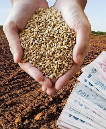 2026 Yılı Hububat Alım ve Satım Fiyatları Belli Oldu