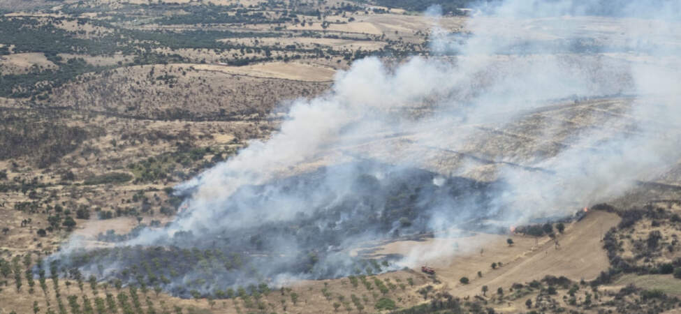 Çanakkale’de Korkutan Orman Yangını