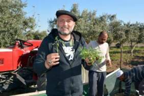 Klarnet ustası Hüsnü Şenlendirici çiftçiliğe yöneldi! Hasat için gün sayıyor
