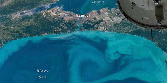Bilim insanları bile büyülendi: Her yer turkuaza büründü