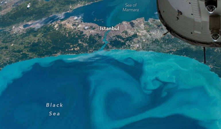 Bilim insanları bile büyülendi: Her yer turkuaza büründü
