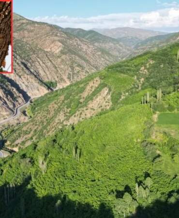 Burası Londra değil Bitlis! Eşsiz doğası ve sincap yuvalarıyla göreni kıskandırıyor