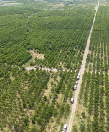 Kazancını katlamak isteyene tarımda yeni sistem! Tüm köyde verim 30 katına çıktı