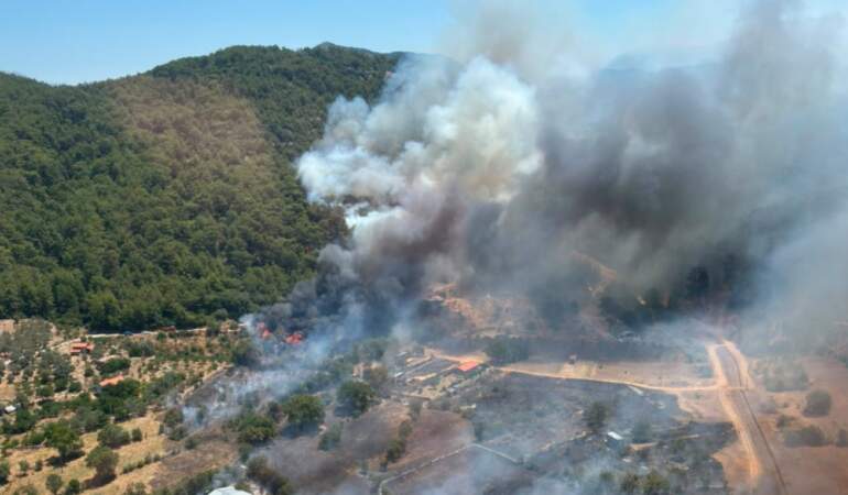 Fethiye’de orman yangını: 10 ev tahliye edildi, 4 bungalov hasar gördü