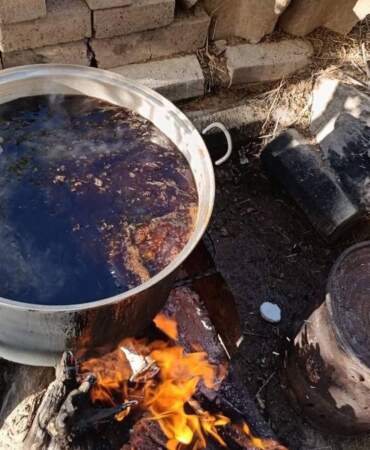 Kışın bereketi meşe ağaçlarına yansıdı! Meşe dallarından 5 saatte üretilen doğal şifa kaynağı