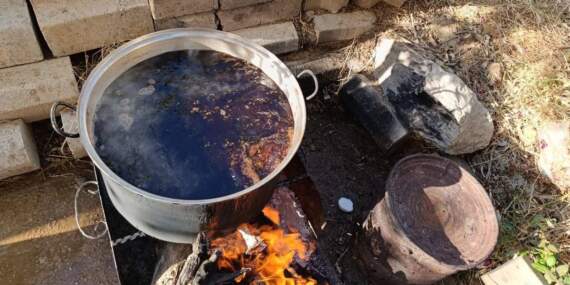 Kışın bereketi meşe ağaçlarına yansıdı! Meşe dallarından 5 saatte üretilen doğal şifa kaynağı