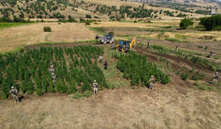 Diyarbakır’da yasa dışı kenevir operasyonu: 9,1 tonluk üretim engellendi