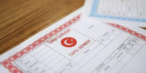 Yargıtay karar verdi: Bakım yükümlülüğünü yerine getirmeyen torun tapuyu kaybetti