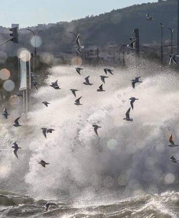 Meteoroloji’den İzmir dahil dört il için kuvvetli rüzgâr uyarısı: Hızı 70 kilometreye ulaşacak