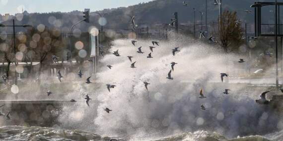 Meteoroloji’den İzmir dahil dört il için kuvvetli rüzgâr uyarısı: Hızı 70 kilometreye ulaşacak