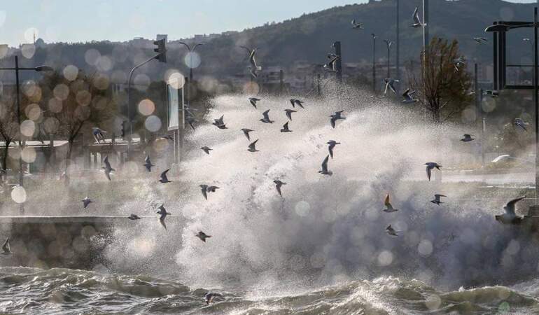 Meteoroloji’den İzmir dahil dört il için kuvvetli rüzgâr uyarısı: Hızı 70 kilometreye ulaşacak