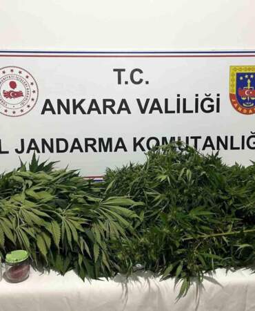 Ankara’da Kenevir Operasyonu: Bir Gözaltı