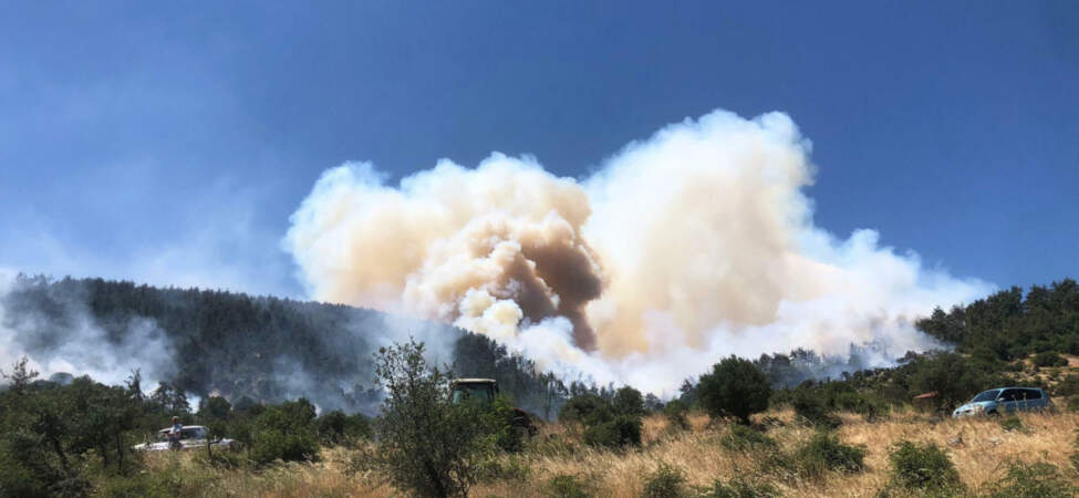 Balıkesir’de Orman Yangını