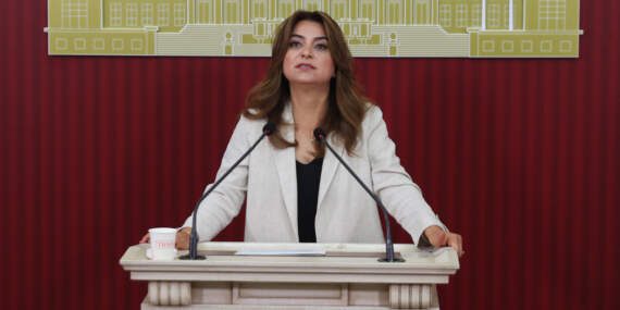 DEM Parti’den ‘Çerçeve Yasa’ Çıkışı: Meclis’te ‘Barış İzleme Kurulu’ İstendi