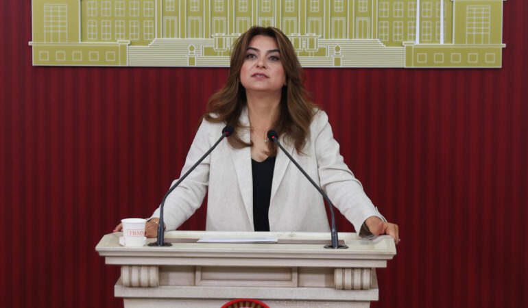 DEM Parti’den ‘Çerçeve Yasa’ Çıkışı: Meclis’te ‘Barış İzleme Kurulu’ İstendi