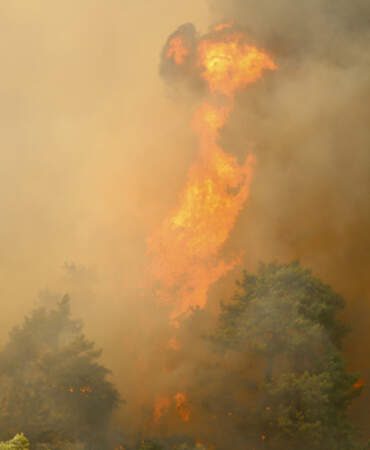 Fethiye’de 23 Saatlik Kabus Bitti: Dev Orman Yangını Kontrol Altında