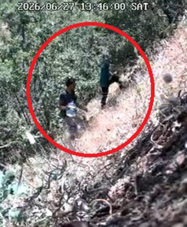 Fotokapana Yakalanan Siyasetçi: CHP İlçe Başkanı ve Oğlu Kenevir Tarlasında Gözaltına Alındı