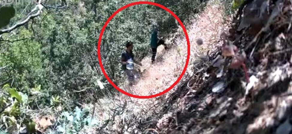 Fotokapana Yakalanan Siyasetçi: CHP İlçe Başkanı ve Oğlu Kenevir Tarlasında Gözaltına Alındı