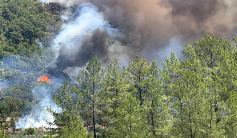 Muğla Fethiye’de Orman Yangını
