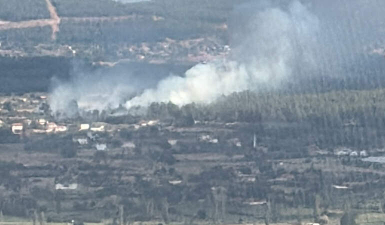 Muğla’da Çıkan Orman Yangını Kontrol Altında