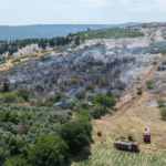 Muğla’da Sevindiren Haber: Yangın Kontrol Altına Alındı
