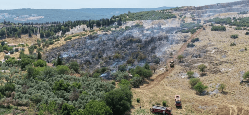 Muğla’da Sevindiren Haber: Yangın Kontrol Altına Alındı