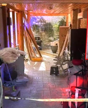 Antalya’da Şüpheli Ölüm! Tahıl Kralı Evinde Ölü Bulundu! Çocuklarından Cinayet İddiası