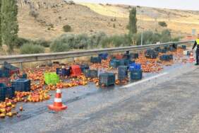 Kazadan Geriye Tonlarca Şeftali Kaldı