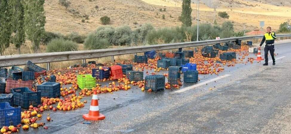 Kazadan Geriye Tonlarca Şeftali Kaldı