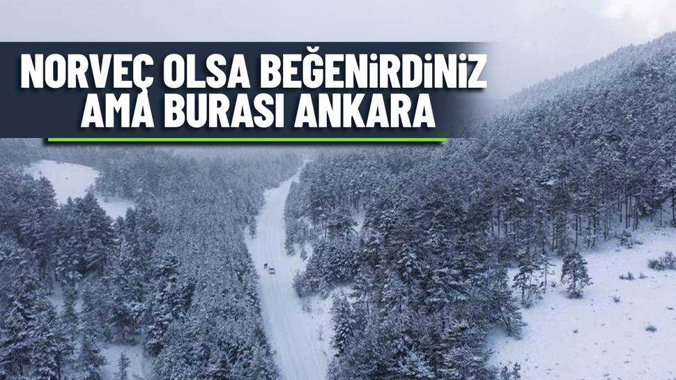 Ankara’da Beyazla Yeşilin Buluşması Objektiflere Yansıdı