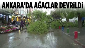 Ankara’da Fırtına Ağaçları Devirdi, Yollar Kapandı