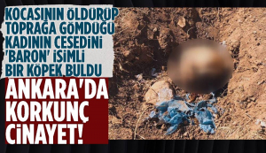 Ankara’da Kan Donduran Cinayet! Eşini Çekiçle Öldürüp, Alüminyum Folyoya Sararak Gömdü….