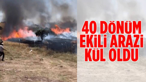 Ankara’da Korkutan Tarla Yangını