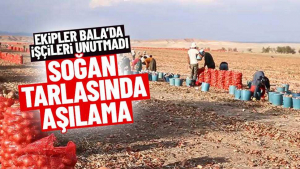 Ankara’da Soğan Tarlasında Çalışanlar Aşılandı