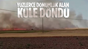 Ankara’da Tarla Yangını