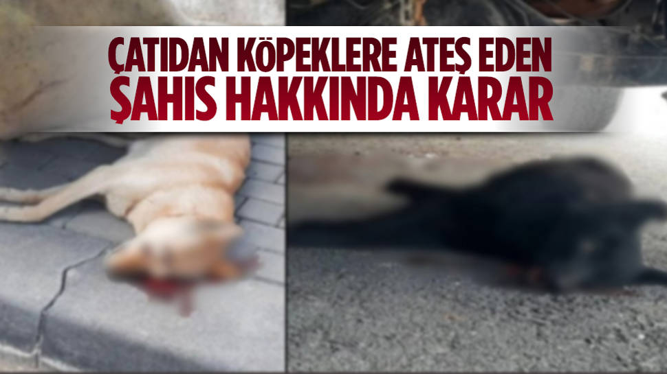 Ankara’daki Vahşetin Ardından Yakalama Kararı