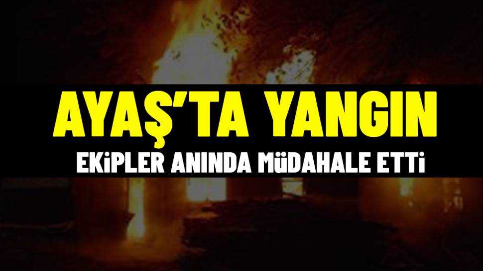 Ankara’nın Ayaş Ilçesinde Yangın