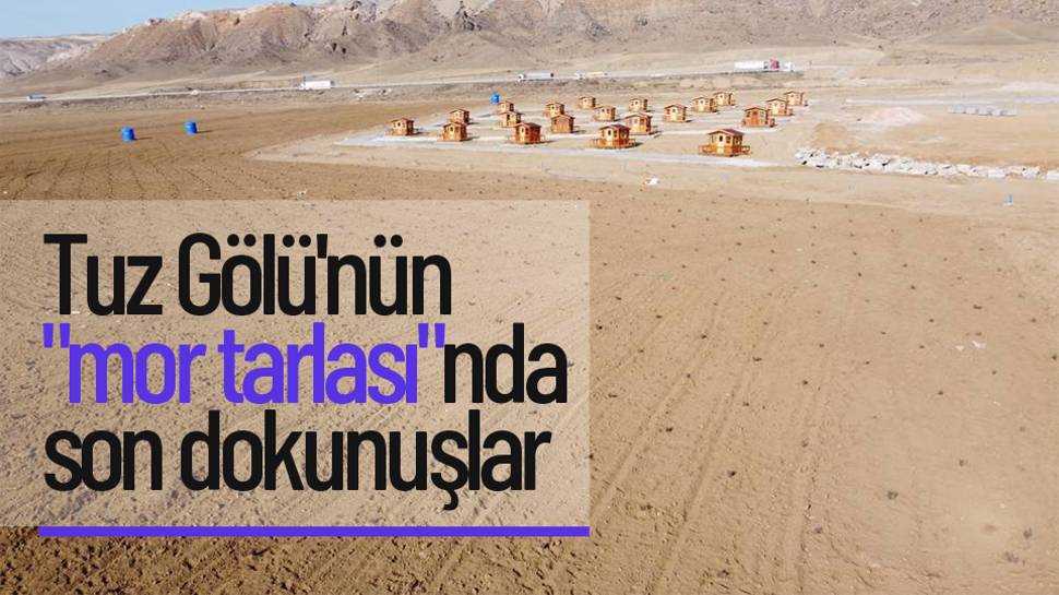 Ankara’nın Mor Cenneti Şereflikoçhisar Olacak