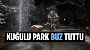 Ankara’nın Simgelerinden Kuğulu Park’taki Havuz Buz Tuttu