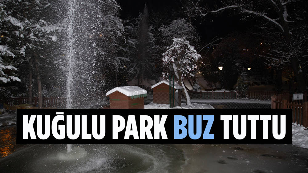 Ankara’nın Simgelerinden Kuğulu Park’taki Havuz Buz Tuttu