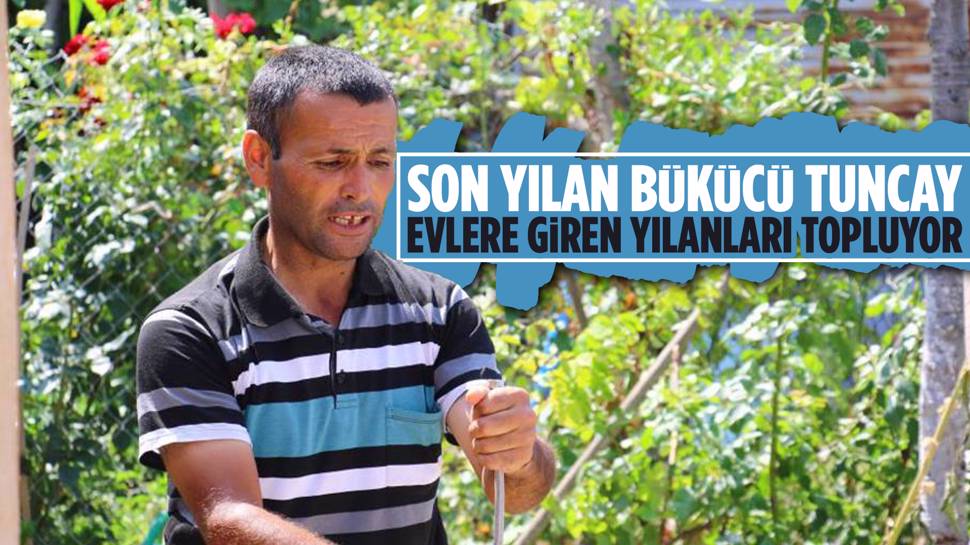 Başkentte Yılanların Efendisi: Son Yılan Bükücü Tuncay