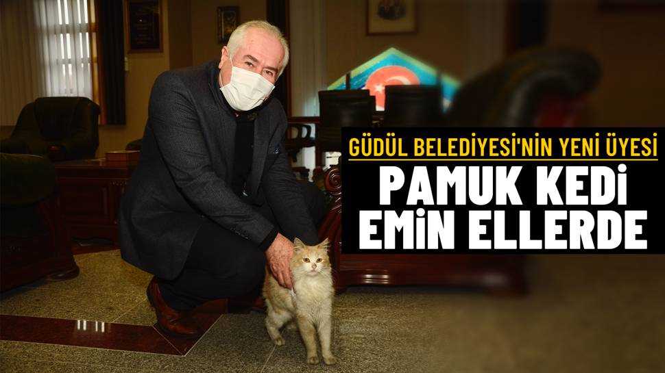 Güdül Belediyesi’nin Yeni Üyesi “Pamuk”