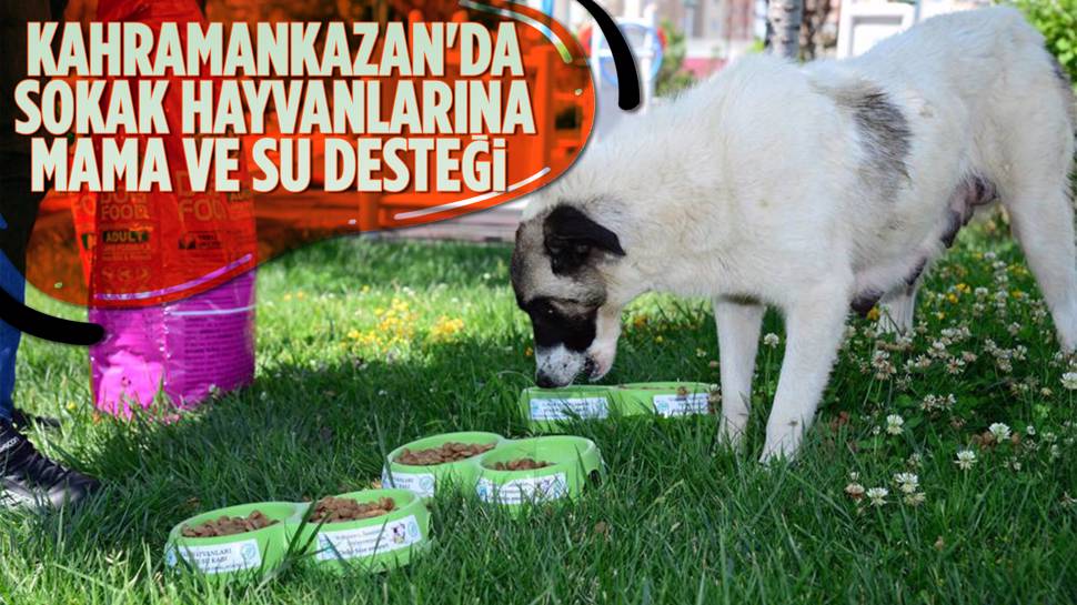 Kahramankazan Can Dostların Yanında!