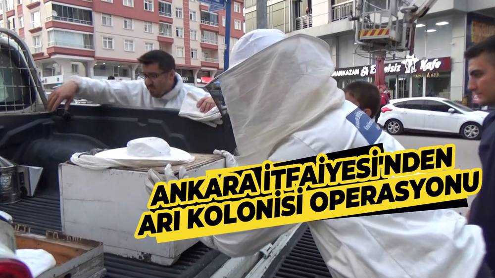 Kahramankazan’da Çam Ağacına Oğul Veren Arılar Kovana Alındı