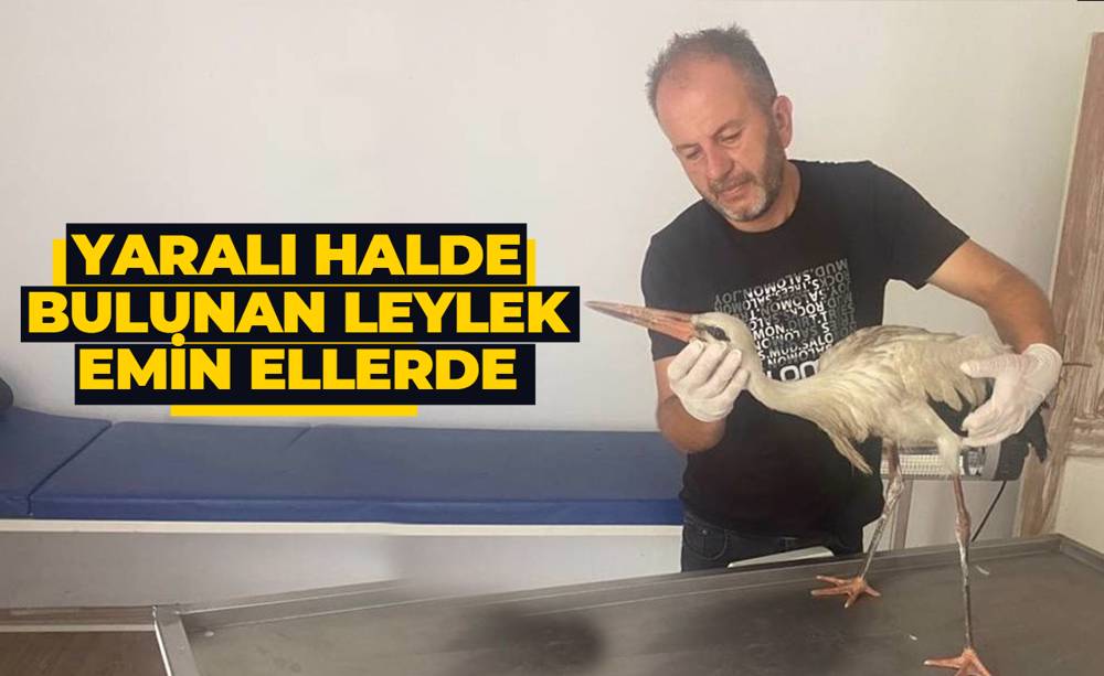 Kızılcahamam’da Yaralı Leylek Tedavi Altına Alındı